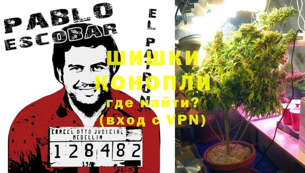 ГАЛЛЮЦИНОГЕННЫЕ ГРИБЫ Арсеньев