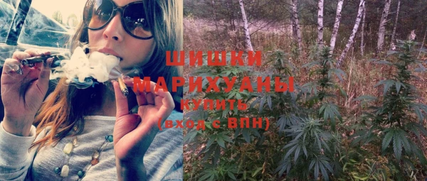 ГАЛЛЮЦИНОГЕННЫЕ ГРИБЫ Арсеньев