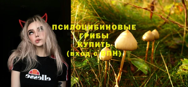 ГАЛЛЮЦИНОГЕННЫЕ ГРИБЫ Арсеньев