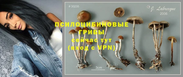 гашиш Аркадак