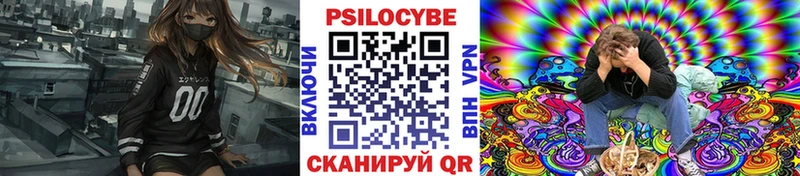 MEGA как зайти  Багратионовск  Галлюциногенные грибы ЛСД 